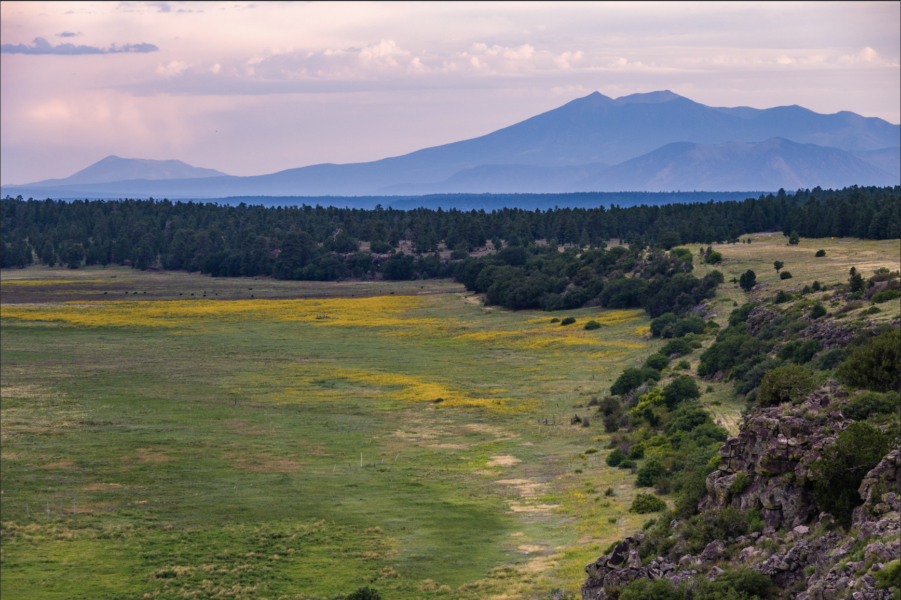 Arizona Mormon Lake A Hidden Gem in Flagstaff