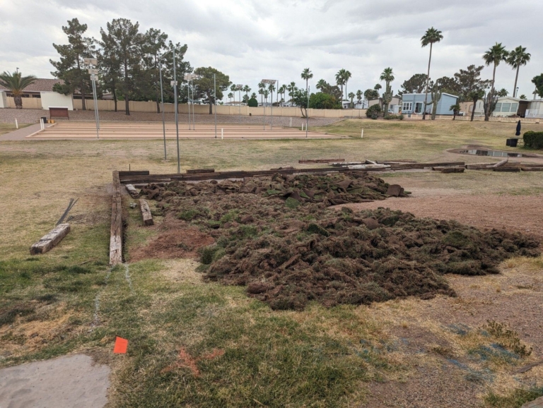 Large dog park project