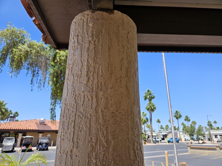 honeycomb & bee removal