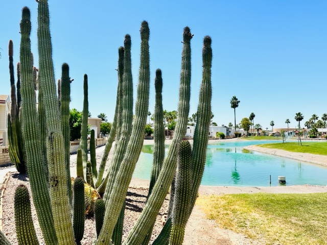 Roadhaven Resort grounds