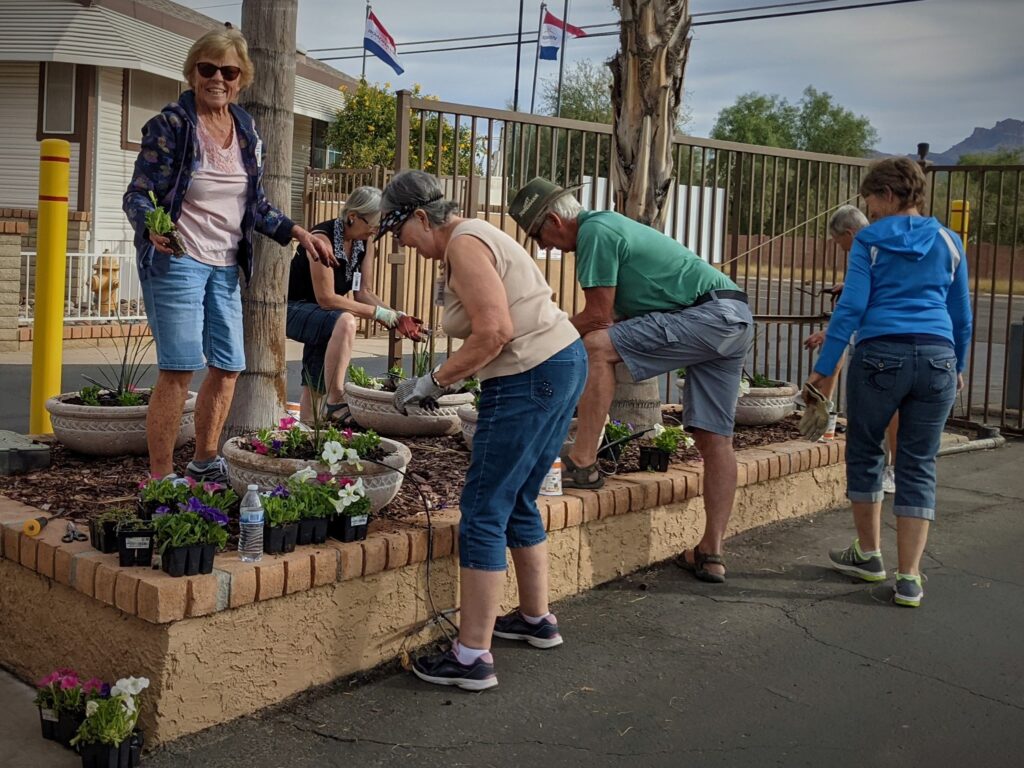 Volunteer at Roadhaven