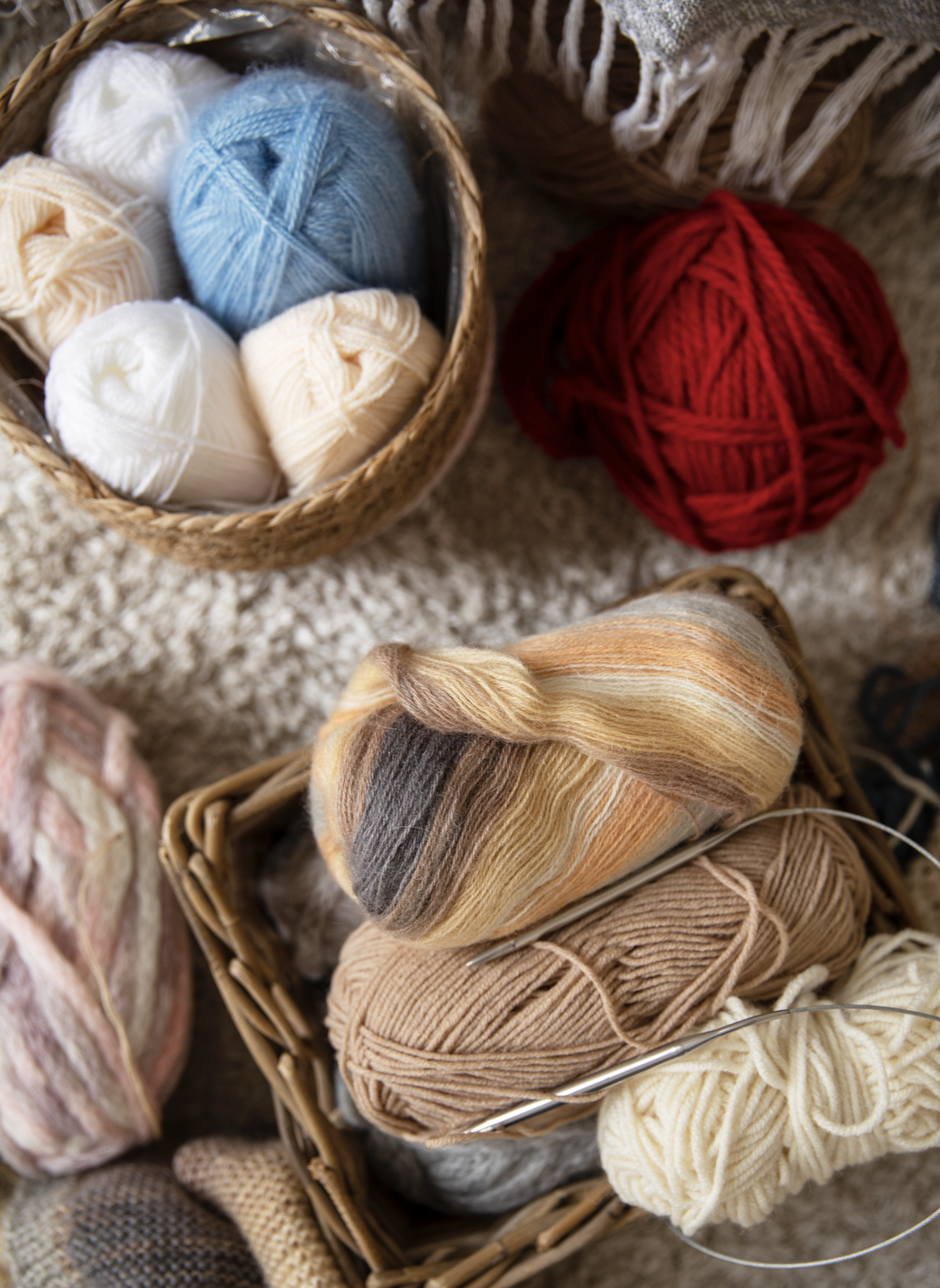 Feb. 10, 2025 - Activities at a Glance Newsletter