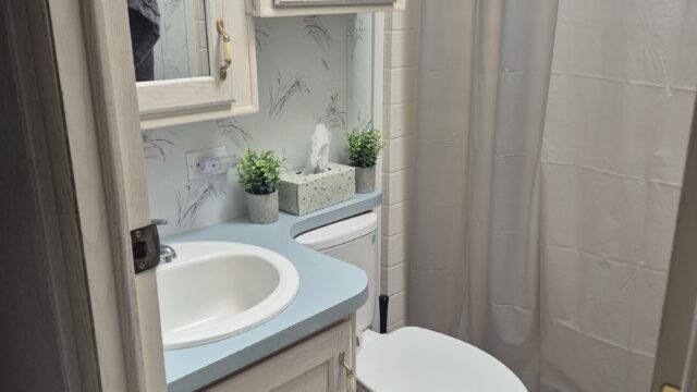 new-bathroom