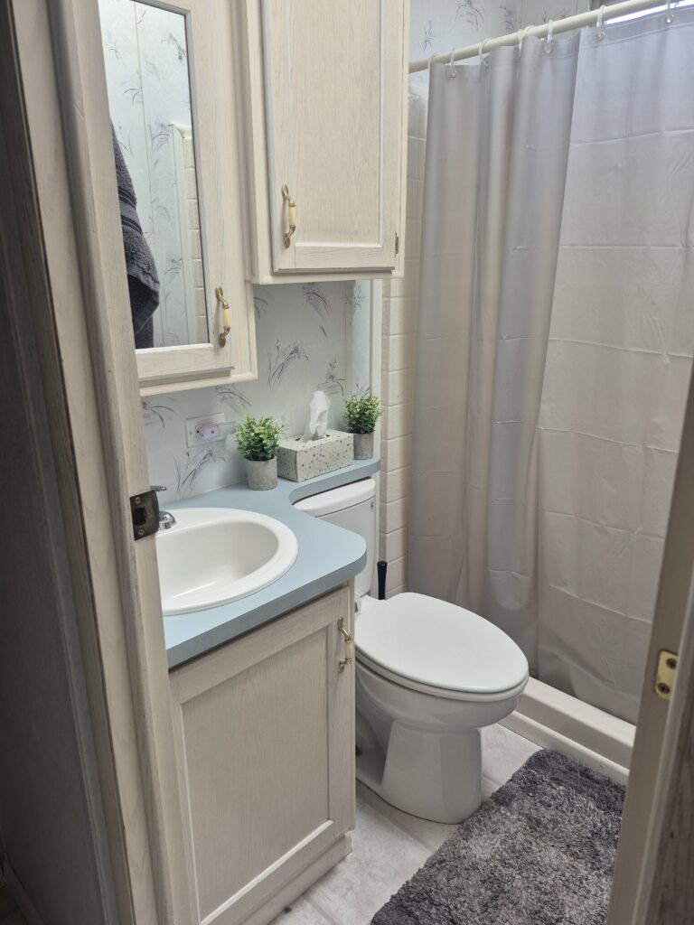 new-bathroom