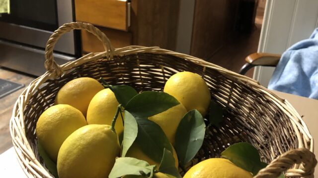 Lemons-Kitchen