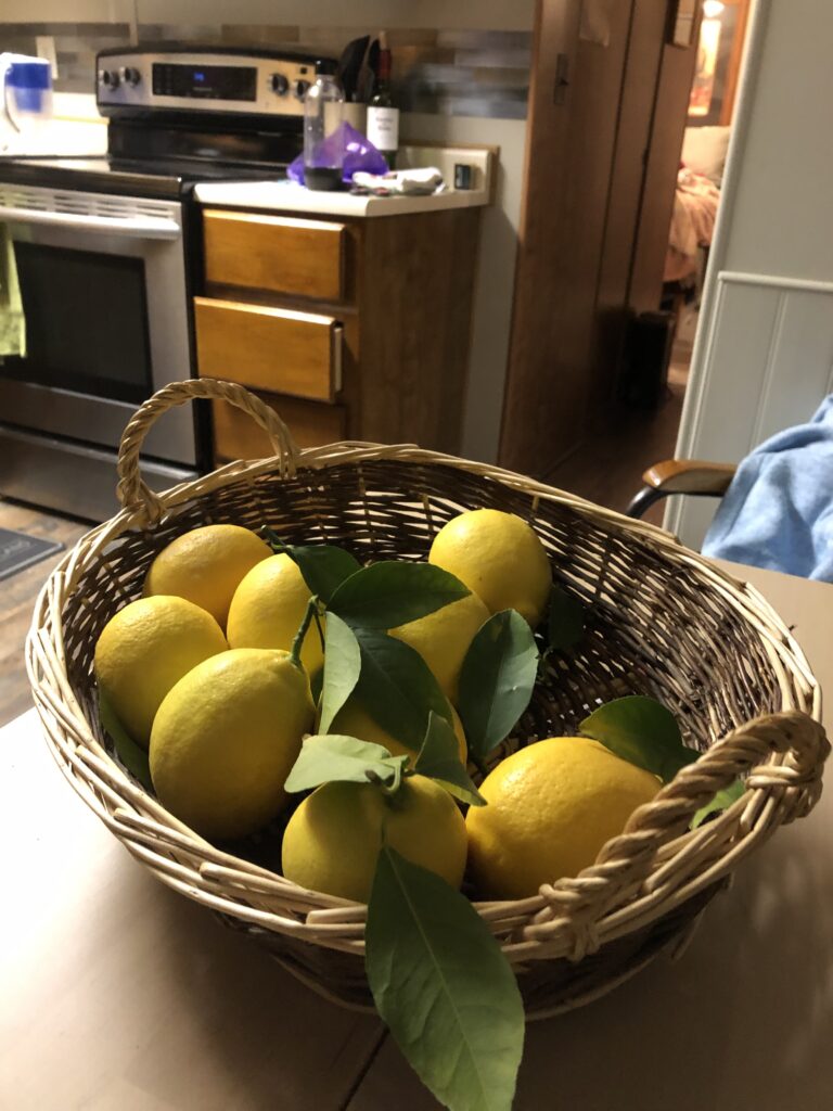 Lemons-Kitchen