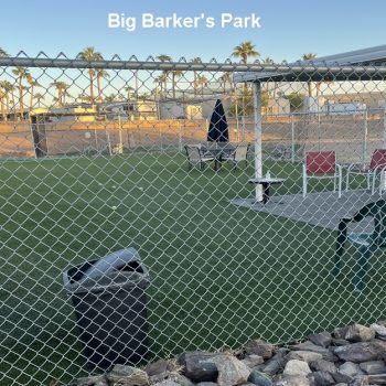 Dog Owners Club: Big-Barkers