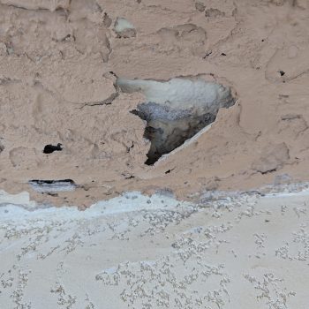 Deterioration Water Damage