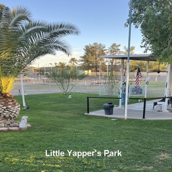 Little Yapper's Park