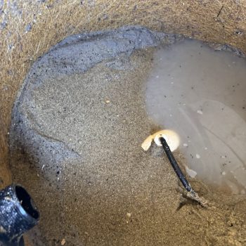 Phase II pool sand filters.2